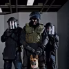 faction